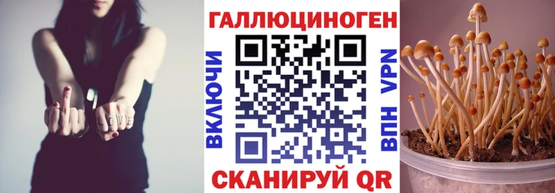 Галлюциногенные грибы прущие грибы  Зеленоградск 